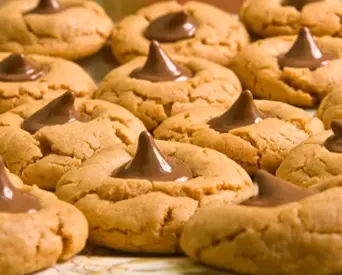 Earth Goods Recipe 45